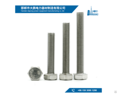 Stainless Steel Bolts