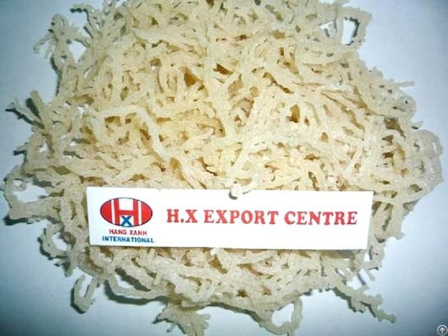 Sea Moss Irishmoss Eucheuma Cottonii