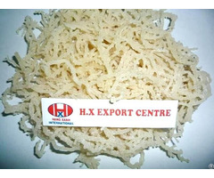 Sea Moss Irishmoss Eucheuma Cottonii