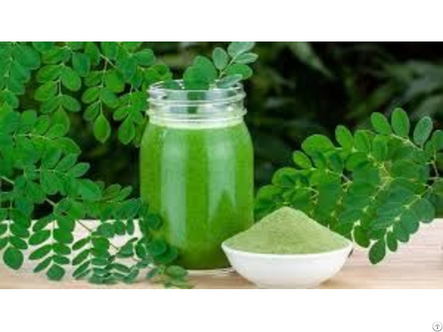 Moringa Leaves Powder