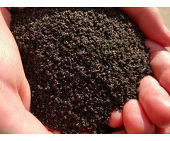 Vermicompost Vermi Casting Organic Fertilizer