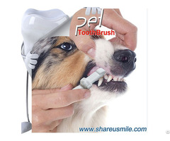 New Arrival Shareusmile Pet Toothbrush Professional Teeth Cleaning For Your Dog