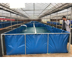 Pvc Tarpaulin Breeding Pool