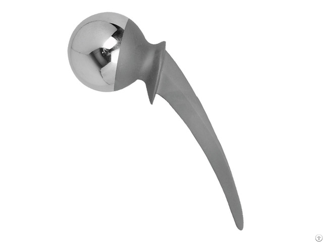 Thompson Hip Prosthesis