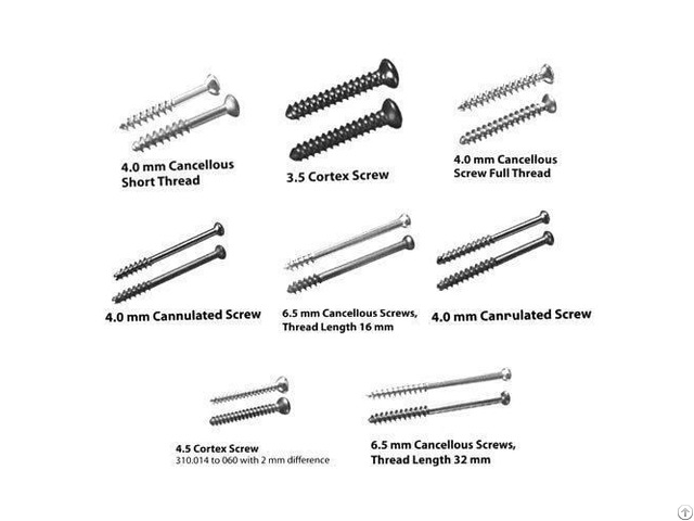 Orthopedic Screws