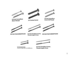 Orthopedic Screws