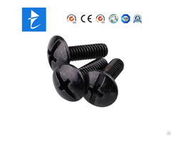 Galvanized Black Fasteners Phillips Truss Head Screw