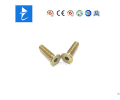 Professional Custom Brass Stainess Steel Metal Hex Socket Screw