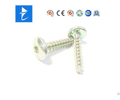 Custom Mushroom Socket Torx Head Steel Color Zinc Plated Self Tapping Screw