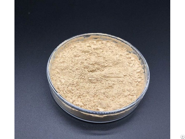 Probc 123 Bacillus Coagulans