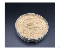 Probc 123 Bacillus Coagulans