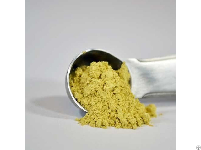 Panax Ginseng Root Extract 80 Percent Ginsenosides