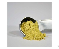 Panax Ginseng Root Extract 80 Percent Ginsenosides