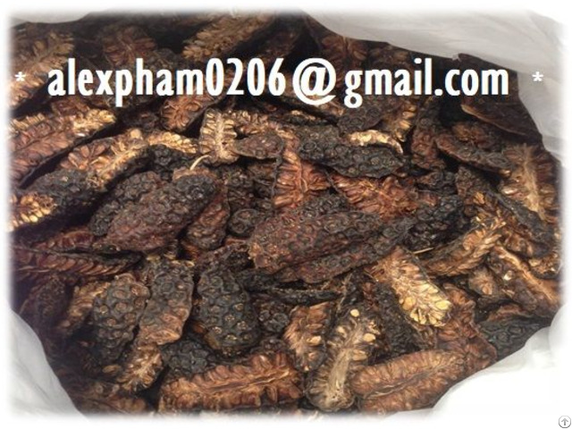 Dried Noni Fruit Powder