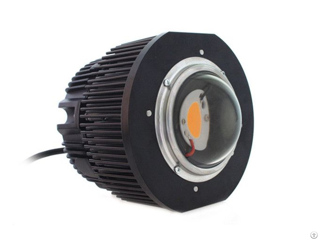 Cree 100w 200w Cob Led Grow Lights
