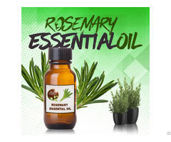 Rosemary Essential Oils