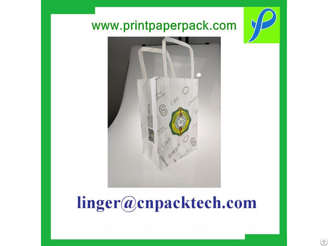 Talior Made Size And Printing Cardbaord Gift Bag With Paper Handle