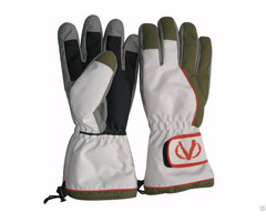 Ski Gloves