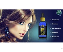 Moroccan Blue Tansy Essential Oil Company