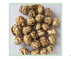 Dry Walnut Kernel Snack Food