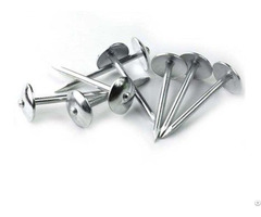 Umbrella Roofing Nails