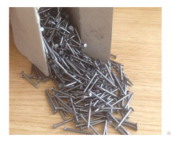 Common Nails