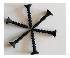 Wholesale Common Nails