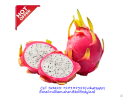 Netherlands Wholesale Dragon Fruits