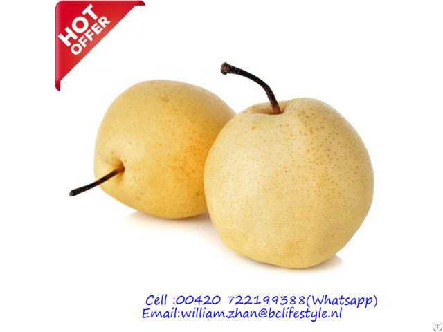 Netherlands Wholesale Nashi Pears