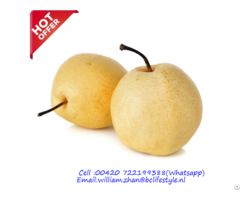 Netherlands Wholesale Nashi Pears