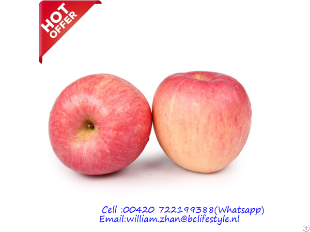 Netherlands Wholesale Fuji Apples