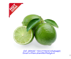 Netherlands Wholesale Limes