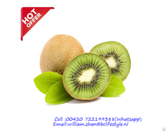 Netherlands Wholesale Kiwi Fruits