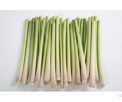 Fresh Lemongrass Helen 84 346 922 313