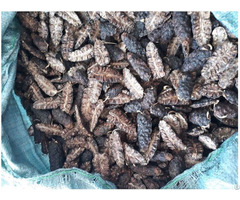 Dried Noni Fruit Helen 84 346 922 313