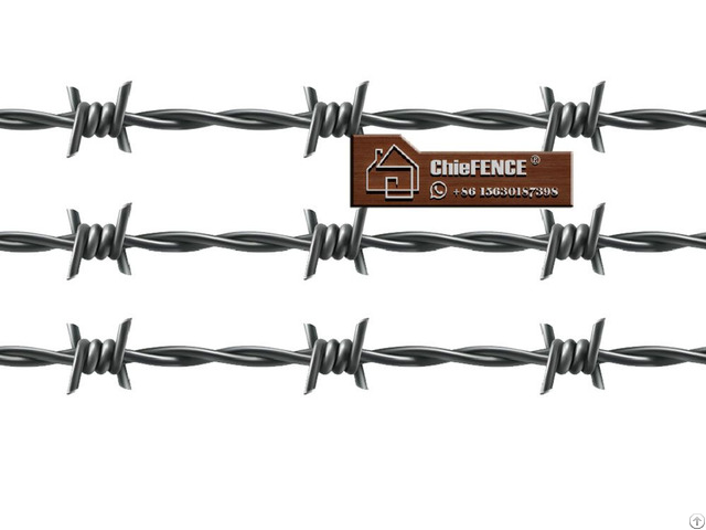 Loni Chiefence Barbed Wire