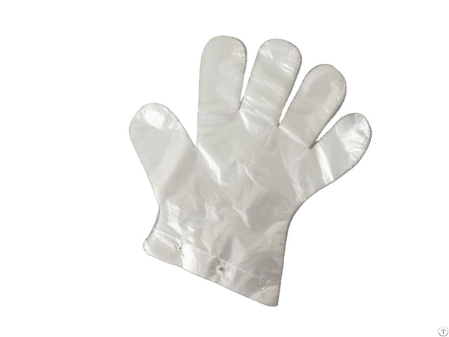 Plastic Transparent Disposable Pe Gloves