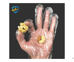 Disposable Pe Gloves Supplier