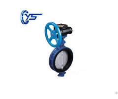 Ansi Wafer Type Butterfly Valve