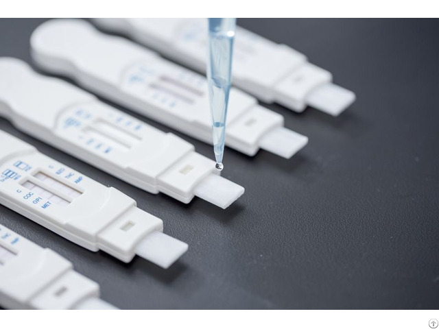 Buprenorphine Bup Rapid Tests
