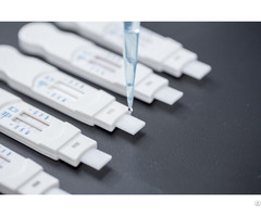 Buprenorphine Bup Rapid Tests