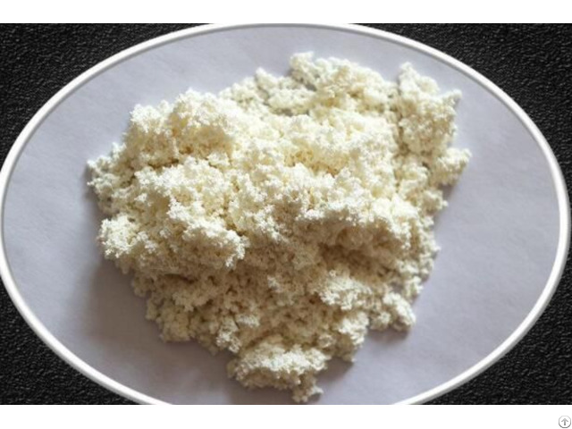 Fixed Carrier Lipase Resin