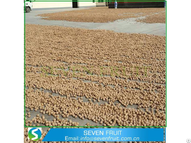 Healthy And Best California New Fresh Common Walnuts Wholesale