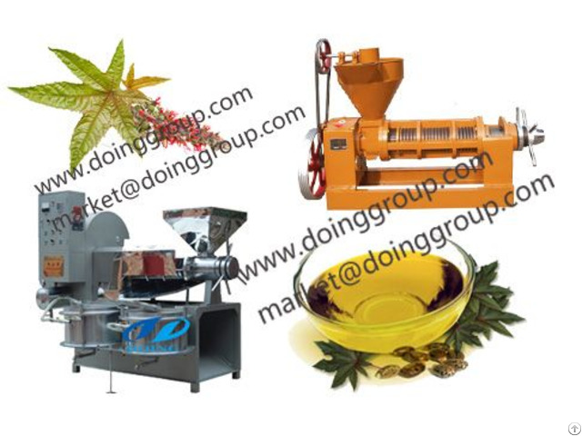 Moringa Oil Pressing Machine