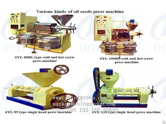 Long Working Life Screw Oil Press Machine