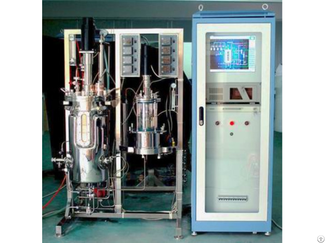 Pilot Scale Microbial Fermenter