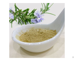 Pure Rosemary Extract