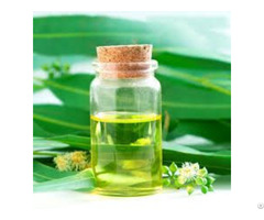 The Eucalyptus Oil