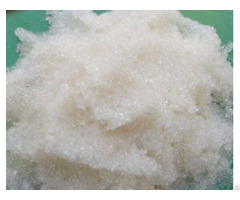 Cholestyramine Adsorbent Resin