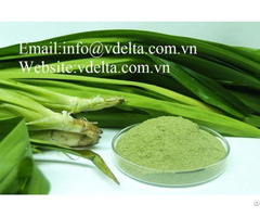 Pandan Leaf Powder From Vietnam